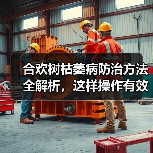 合欢树枯萎病防治方法全解析,这样操作有效果(图2) 合欢树枯萎病防治方法全解析,这样操作有效果(图2)