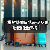 桃树缺磷症状表现及防治措施全解析(图1) 桃树缺磷症状表现及防治措施全解析(图1)