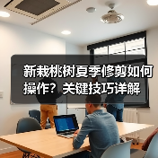 新栽桃树夏季修剪如何操作？关键技巧详解（图2）