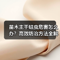 苗木主干蛀虫危害怎么办？高效防治方法全解