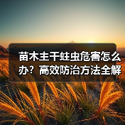 苗木主干蛀虫危害怎么办?高效防治方法全解析(图4) 苗木主干蛀虫危害怎么办?高效防治方法全解析(图4)