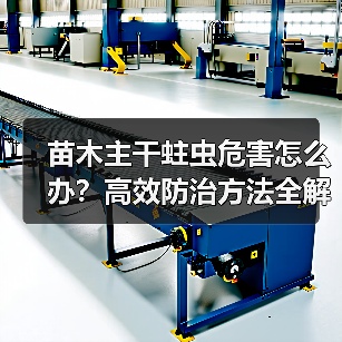 苗木主干蛀虫危害怎么办?高效防治方法全解析(图3) 苗木主干蛀虫危害怎么办?高效防治方法全解析(图3)