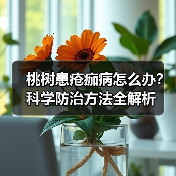 桃树患疮痂病怎么办？科学防治方法全解析