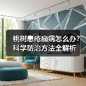桃树患疮痂病怎么办?科学防治方法全解析(图3) 桃树患疮痂病怎么办?科学防治方法全解析(图3)