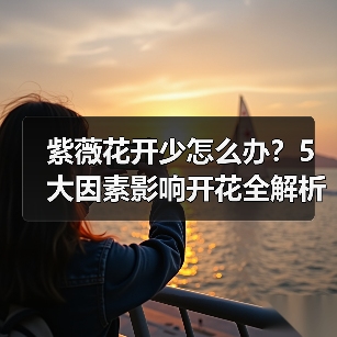 紫薇花开少怎么办？5大因素影响开花全解析