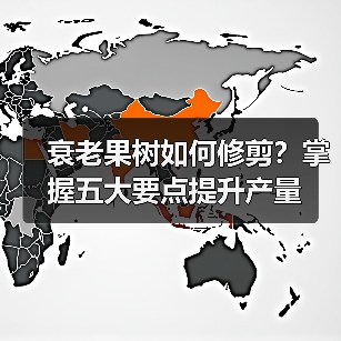 衰老果树如何修剪?掌握五大要点提升产量(图1) 衰老果树如何修剪?掌握五大要点提升产量(图1)