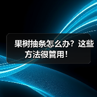 果树抽条怎么办？这些方法很管用！（图4）