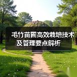 毛竹苗圃高效栽培技术及管理要点解析（图1）