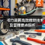 毛竹苗圃高效栽培技术及管理要点解析（图2）