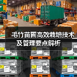 毛竹苗圃高效栽培技术及管理要点解析（图3）