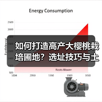 如何打造高产大樱桃栽培圃地?选址技巧与土壤改良全解析(图2) 如何打造高产大樱桃栽培圃地?选址技巧与土壤改良全解析(图2)
