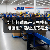 如何打造高产大樱桃栽培圃地？选址技巧与土