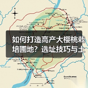 如何打造高产大樱桃栽培圃地?选址技巧与土壤改良全解析(图3) 如何打造高产大樱桃栽培圃地?选址技巧与土壤改良全解析(图3)