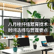 八月桂扦插繁育技术：时间选择与管理要点（图4）