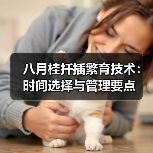 八月桂扦插繁育技术：时间选择与管理要点（图3）