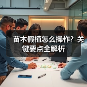 苗木假植怎么操作？关键要点全解析
