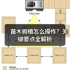 苗木假植怎么操作?关键要点全解析(图3) 苗木假植怎么操作?关键要点全解析(图3)
