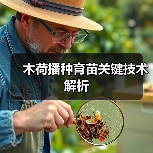 木荷播种育苗关键技术解析(图2) 木荷播种育苗关键技术解析(图2)