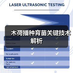 木荷播种育苗关键技术解析(图3) 木荷播种育苗关键技术解析(图3)