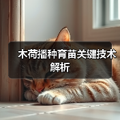 木荷播种育苗关键技术解析(图4) 木荷播种育苗关键技术解析(图4)