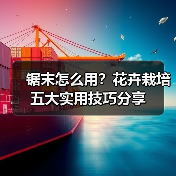 锯末怎么用?花卉栽培五大实用技巧分享(图4) 锯末怎么用?花卉栽培五大实用技巧分享(图4)