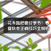 花木施肥要分季节!春夏秋冬正确技巧全解析(图4) 花木施肥要分季节!春夏秋冬正确技巧全解析(图4)