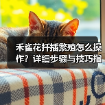 禾雀花扦插繁殖怎么操作?详细步骤与技巧指南(图2) 禾雀花扦插繁殖怎么操作?详细步骤与技巧指南(图2)