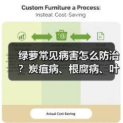 绿萝常见病害怎么防治?炭疽病、根腐病、叶斑病全攻略(图4) 绿萝常见病害怎么防治?炭疽病、根腐病、叶斑病全攻略(图4)