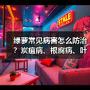 绿萝常见病害怎么防治?炭疽病、根腐病、叶斑病全攻略(图3) 绿萝常见病害怎么防治?炭疽病、根腐病、叶斑病全攻略(图3)