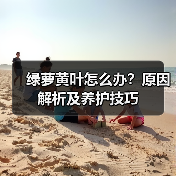 绿萝黄叶怎么办?原因解析及养护技巧(图2) 绿萝黄叶怎么办?原因解析及养护技巧(图2)