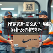 绿萝黄叶怎么办?原因解析及养护技巧(图1) 绿萝黄叶怎么办?原因解析及养护技巧(图1)