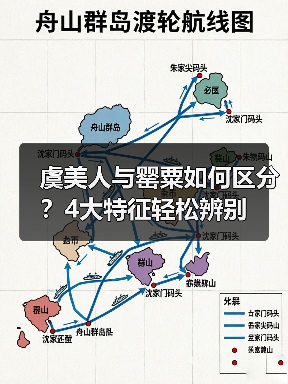 虞美人与罂粟如何区分?4大特征轻松辨别(图1) 虞美人与罂粟如何区分?4大特征轻松辨别(图1)