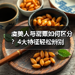 虞美人与罂粟如何区分?4大特征轻松辨别(图4) 虞美人与罂粟如何区分?4大特征轻松辨别(图4)