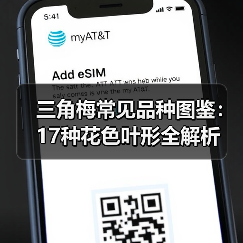三角梅常见品种图鉴:17种花色叶形全解析(图1) 三角梅常见品种图鉴:17种花色叶形全解析(图1)