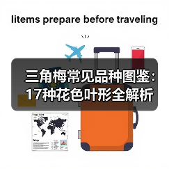 三角梅常见品种图鉴:17种花色叶形全解析(图3) 三角梅常见品种图鉴:17种花色叶形全解析(图3)