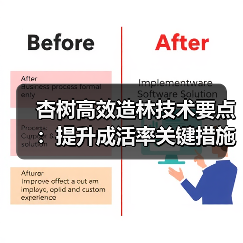 杏树高效造林技术要点:提升成活率关键措施解析(图2) 杏树高效造林技术要点:提升成活率关键措施解析(图2)