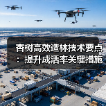 杏树高效造林技术要点:提升成活率关键措施解析(图3) 杏树高效造林技术要点:提升成活率关键措施解析(图3)