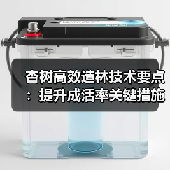 杏树高效造林技术要点:提升成活率关键措施解析(图4) 杏树高效造林技术要点:提升成活率关键措施解析(图4)