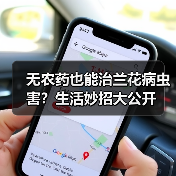 无农药也能治兰花病虫害?生活妙招大公开(图2) 无农药也能治兰花病虫害?生活妙招大公开(图2)