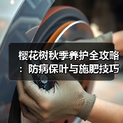 樱花树秋季养护全攻略：防病保叶与施肥技巧（图2）