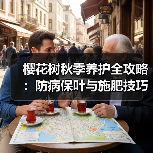 樱花树秋季养护全攻略：防病保叶与施肥技巧（图3）