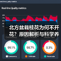 北方盆栽桂花为何不开花?原因解析与科学养护方法(图1) 北方盆栽桂花为何不开花?原因解析与科学养护方法(图1)