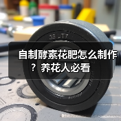 自制酵素花肥怎么制作?养花人必看(图3) 自制酵素花肥怎么制作?养花人必看(图3)