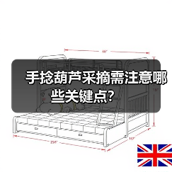手捻葫芦采摘需注意哪些关键点?(图1) 手捻葫芦采摘需注意哪些关键点?(图1)