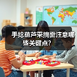 手捻葫芦采摘需注意哪些关键点?(图4) 手捻葫芦采摘需注意哪些关键点?(图4)