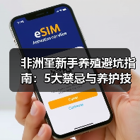 非洲堇新手养殖避坑指南:5大禁忌与养护技巧(图1) 非洲堇新手养殖避坑指南:5大禁忌与养护技巧(图1)