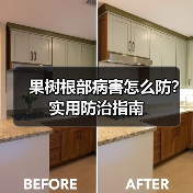 果树根部病害怎么防?实用防治指南(图1) 果树根部病害怎么防?实用防治指南(图1)