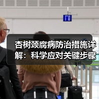 杏树颈腐病防治措施详解:科学应对关键步骤(图4) 杏树颈腐病防治措施详解:科学应对关键步骤(图4)