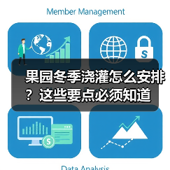 果园冬季浇灌怎么安排?这些要点必须知道(图3) 果园冬季浇灌怎么安排?这些要点必须知道(图3)