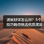 泥炭好坏怎么辨?5个技巧教你挑选优质泥炭(图3) 泥炭好坏怎么辨?5个技巧教你挑选优质泥炭(图3)